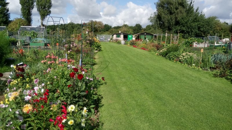 Moss Park Allotments